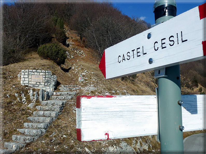 foto Salita dal Monte Tomba a Cima Grappa